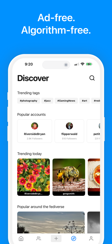PixelfedアプリのDiscover画面。トレンドのタグと写真が広告なしのインターフェースで表示されています。