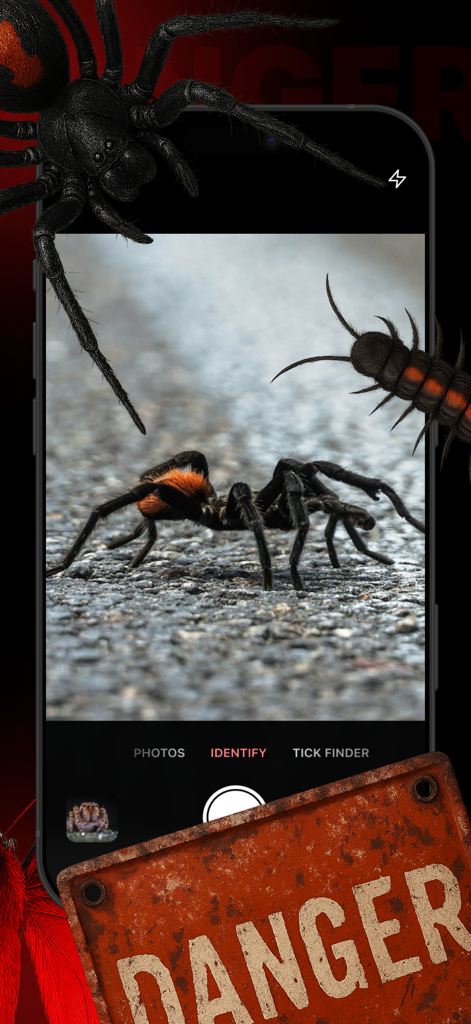Picture insect - AI Identifier - Un smartphone usando la aplicación Picture Insect para identificar una araña peligrosa con un signo de peligro e insectos a su alrededor