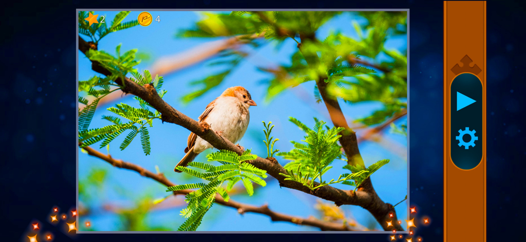 Jigsaw Puzzles Classic - A high definition jigsaw puzzle of a bird on a tree branch in the Jigsaw Puzzles Classic app