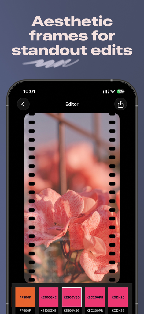 LUCH: Photo Effects & Filters - Uma foto de flores cor-de-rosa editada com uma moldura de filme retrô 35mm na interface do aplicativo LUCH.