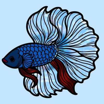 betta fish