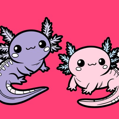cute axolotls