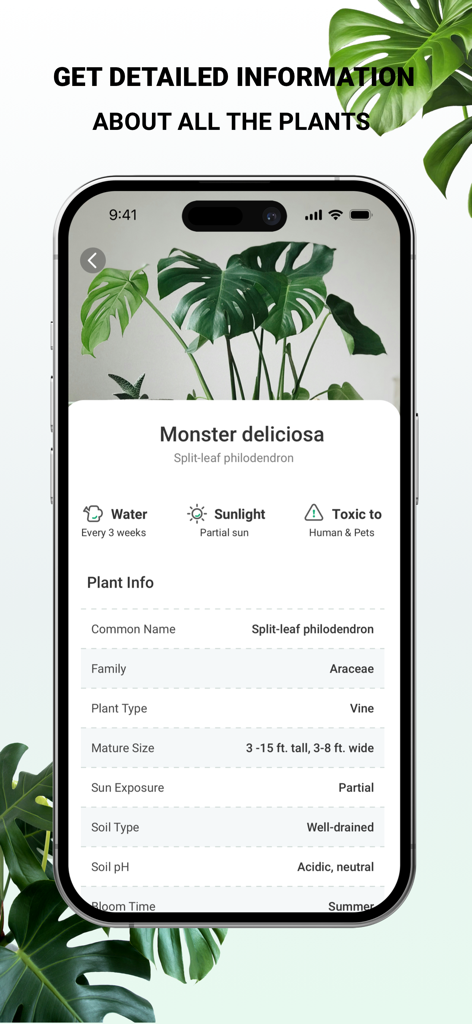 Informations détaillées sur les soins des plantes pour un Monstera deliciosa, y compris les besoins en arrosage et en lumière, dans l'application PlantDaily