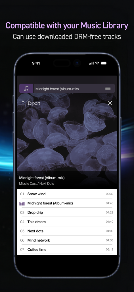 PSOFT Audio Player - Interfaz de PSOFT Audio Player mostrando una lista de pistas DRM-free de la biblioteca de música del usuario.