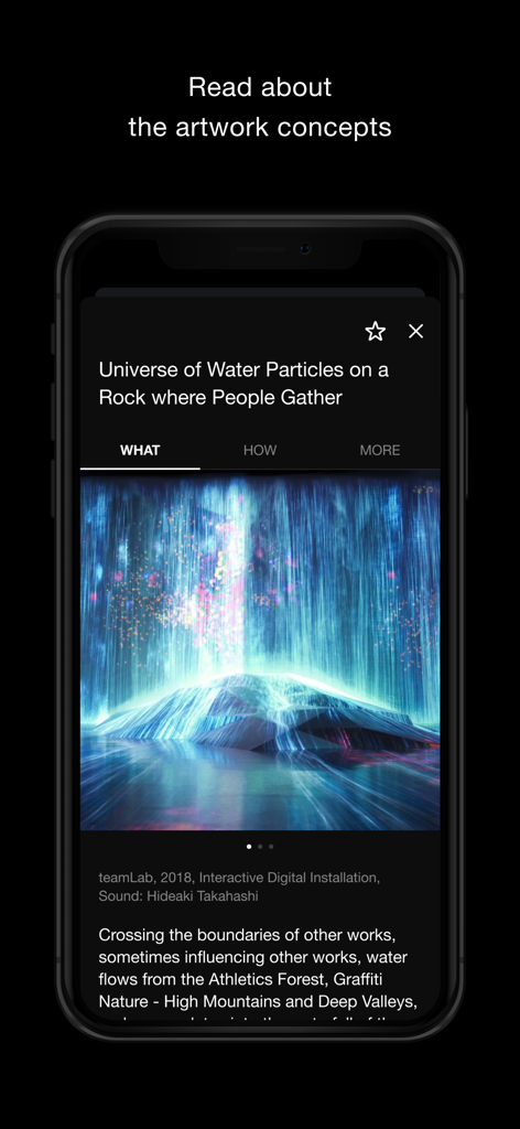 Schermata dello smartphone che mostra informazioni dettagliate e concetti di un'installazione artistica digitale interattiva di teamLab