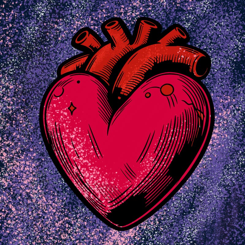 realistic heart