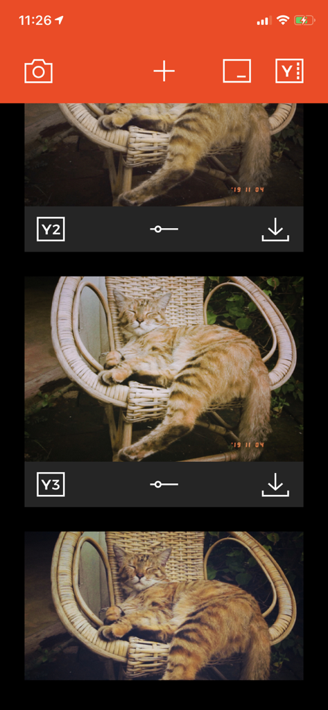 Comparison of different vintage film filters applied to a photo of a sleeping cat in the Filmlike Camera app interface.