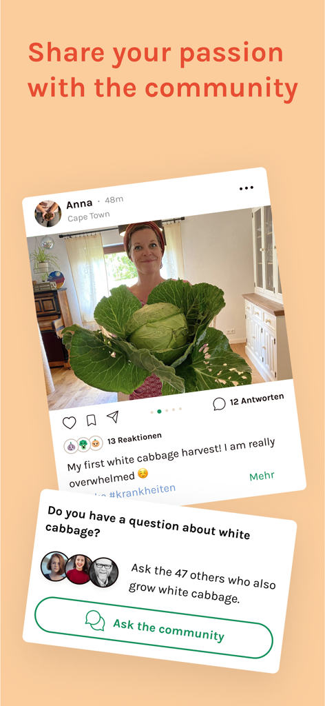 Garden Planner by Fryd - Frydアプリのコミュニティフィードのスクリーンショット。ユーザーが白いキャベツの収穫を共有し、他のガーデナーにアドバイスを求めるプロンプトを表示。