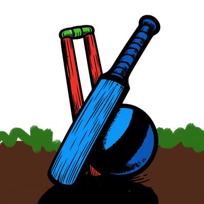 cricket ball and bat