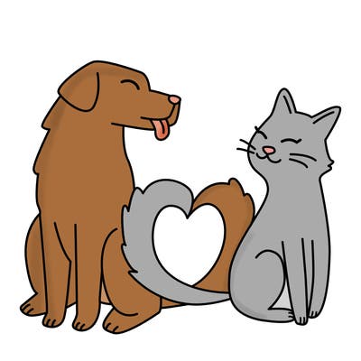 animals_22