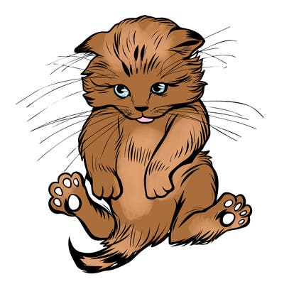 animals_20
