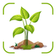 Plant Identifier &Disease Care