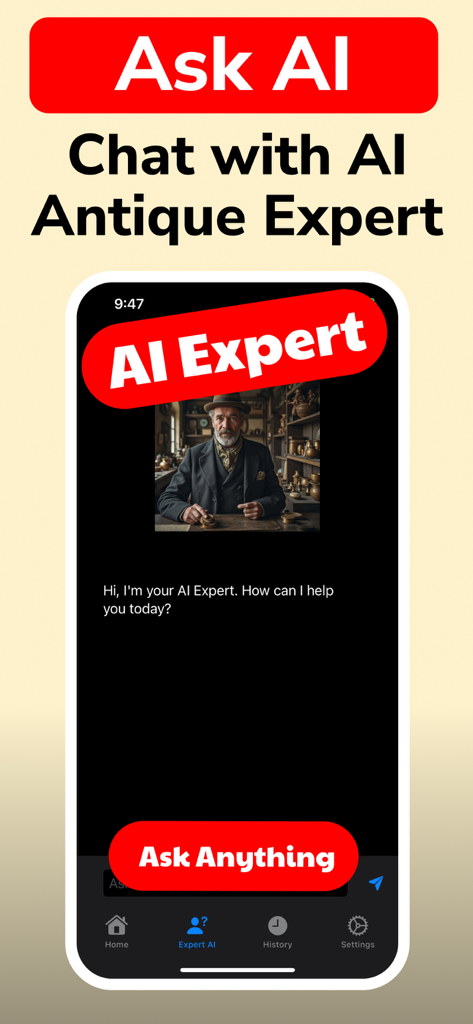 Antique Identifier - Antik - AI expert chat interface in the Antique Identifier app for vintage item valuation