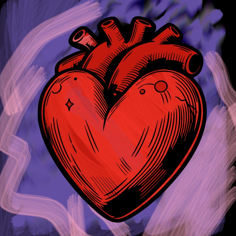 realistic heart