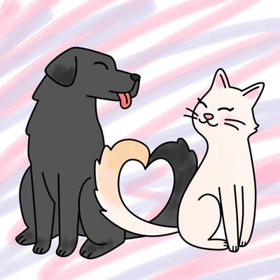animals_22