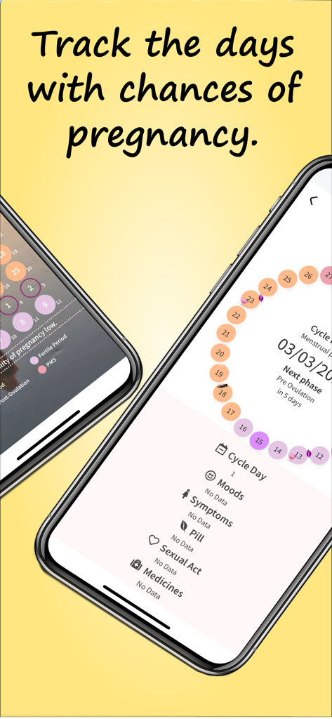 Calendário do Ciclo Menstrual - Menstrual cycle calendar app showing pregnancy chances and symptom tracking
