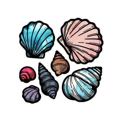 shells