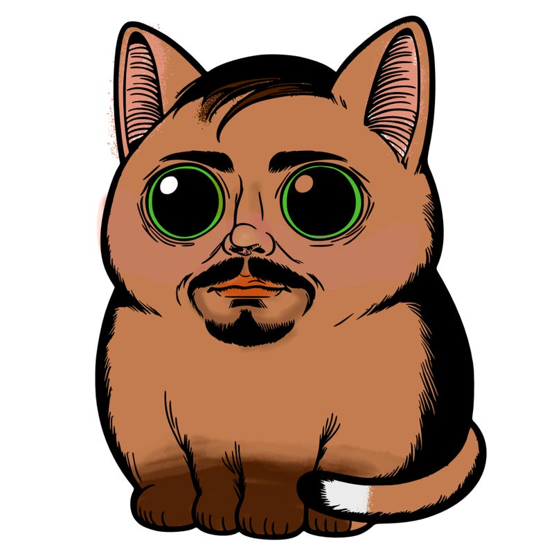 an adorable kitty with a horrifying realistic man face