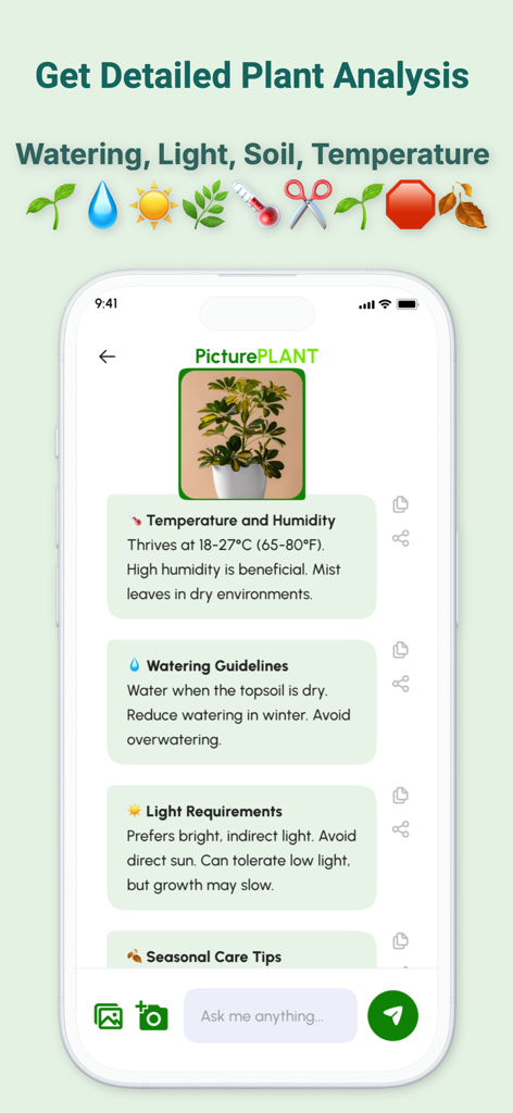 Tela de aplicativo móvel mostrando análise detalhada de cuidados com a planta para requisitos de temperatura, rega e luz.