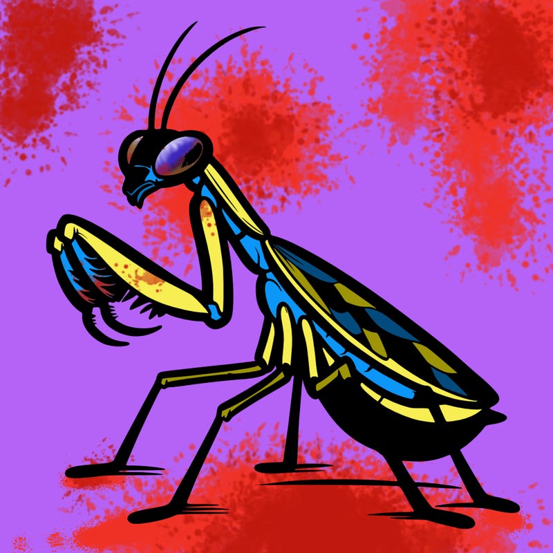praying mantis