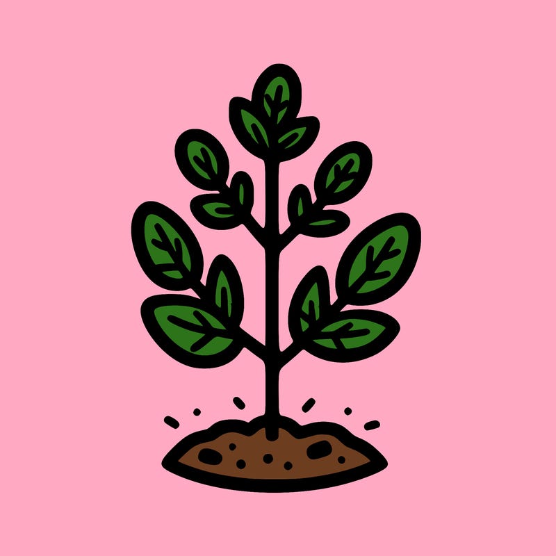 plant