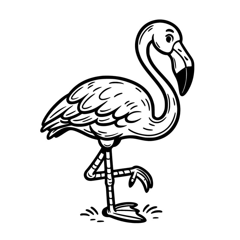 flamingo