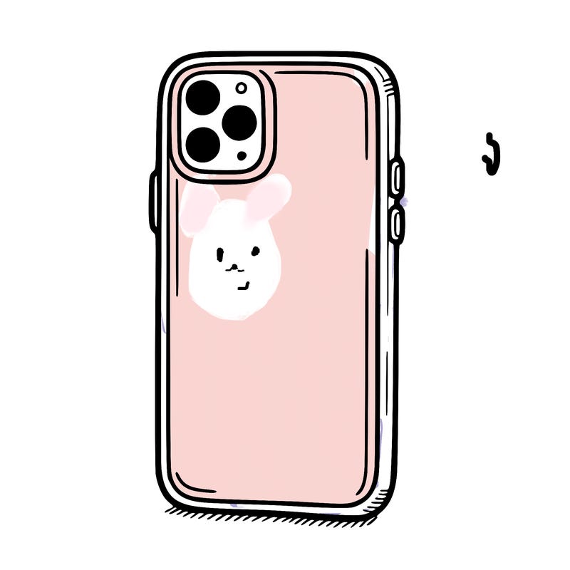 phone case