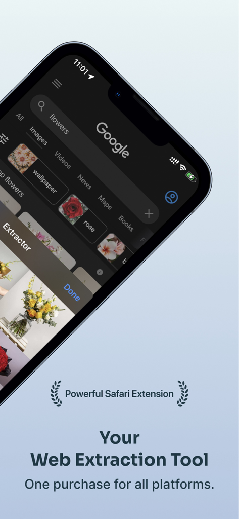 Extractor for Safari - Pantalla de iPhone que muestra la extensión Extractor para Safari extrayendo imágenes de una página de búsqueda de Google.