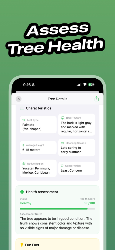 Tree Identifier - TreeBarkId - Interface of TreeBarkId app showing tree characteristics and a health assessment report for a healthy tree