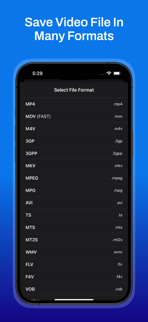 iPhone screen showing a long list of video file formats for exporting including MP4 MOV and AVI