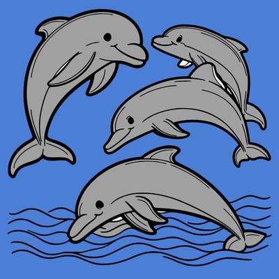 dolphins
