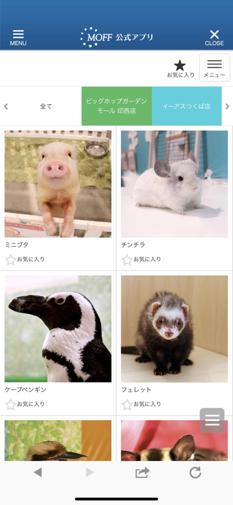 MOFF公式アプリ - Captura de pantalla de la aplicación oficial MOFF mostrando una galería de animales que incluye un cerdo, una chinchilla, un pingüino y un hurón con pestañas de ubicación.