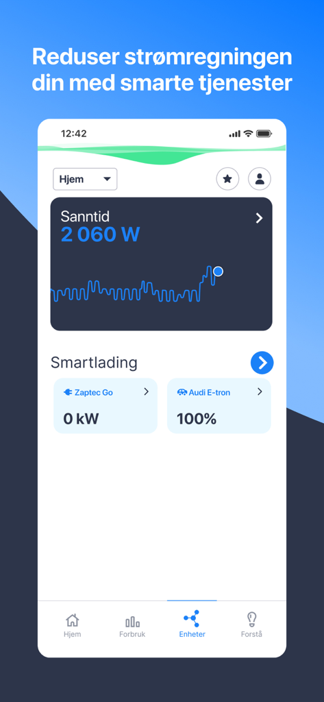 Vibb app screen showing real-time electricity consumption graph and electric vehicle smart charging status