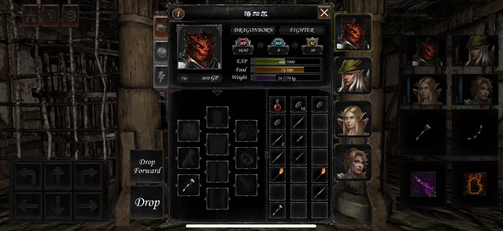 Dungeon Of Dragon Knight - Character inventory and status screen showing stats and equipment for a Dragonborn Fighter in a dungeon crawler.