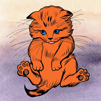 animals_20