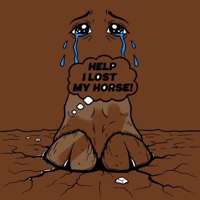 help 
i lost my horse