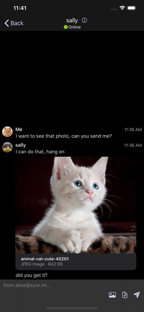 Siskin IM - Siskin IM messaging interface showing a chat window with a shared kitten photo in dark mode