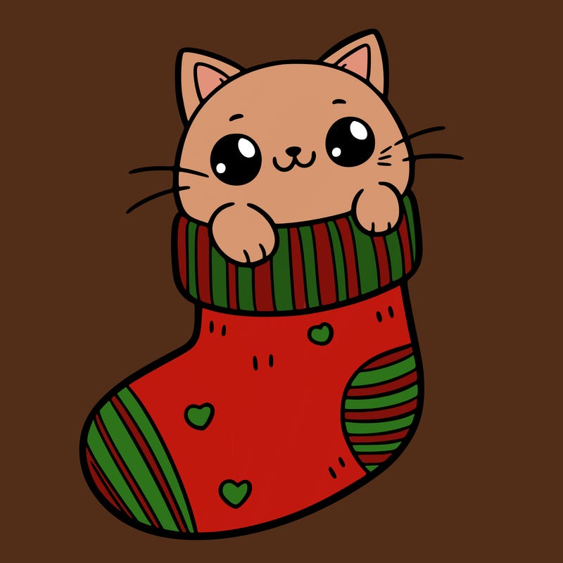 cute cat in a sock