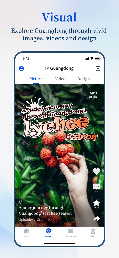 South APP - South APP mobile interface showcasing visual content with a photo of Guangdong lychees