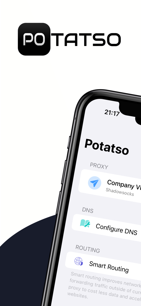 Potatso mobile app screen showing proxy dns and smart routing settings