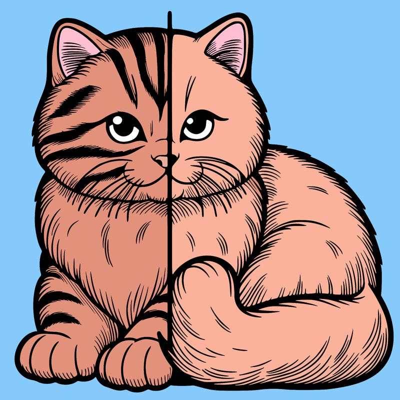 realistic split cat