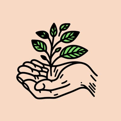 hand with plant
