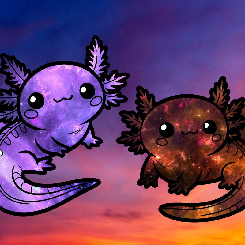 cute axolotls