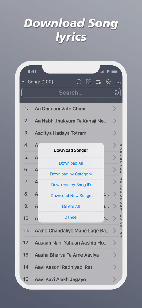 Menu showing offline download options for song lyrics in the app