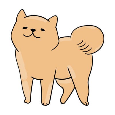 animals_29