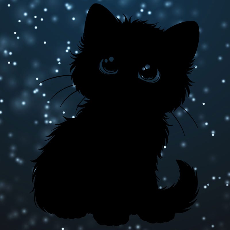 realistic black kitten