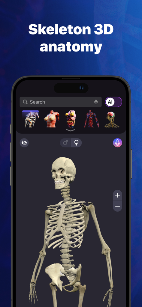 Anatomy Atlas & Human Biology - Interactive 3D human skeleton model in the Anatomy Atlas app interface