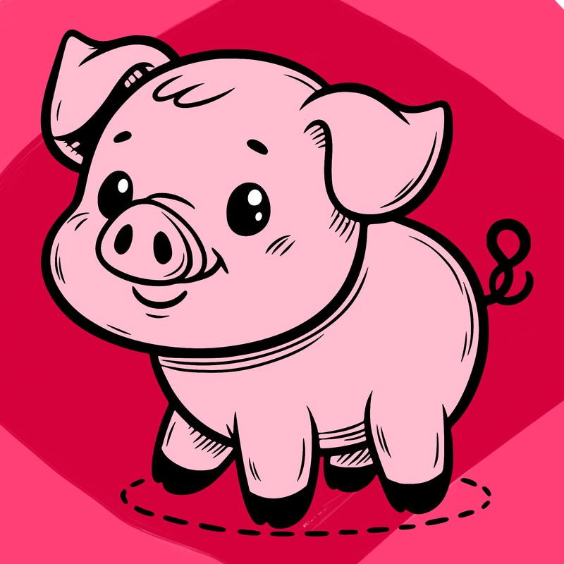 a cute pig