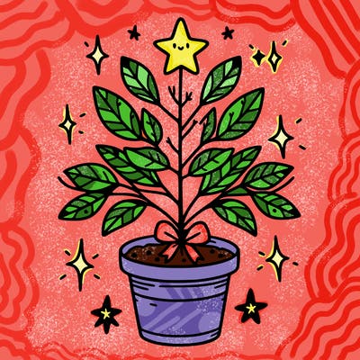 christmas plant