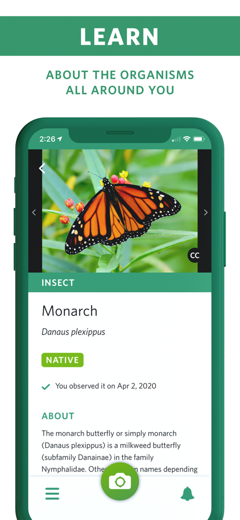 Seek by iNaturalist - Seek by iNaturalist app interface showing a Monarch butterfly identification page with scientific name and nature facts